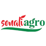 logo2 1 (1)